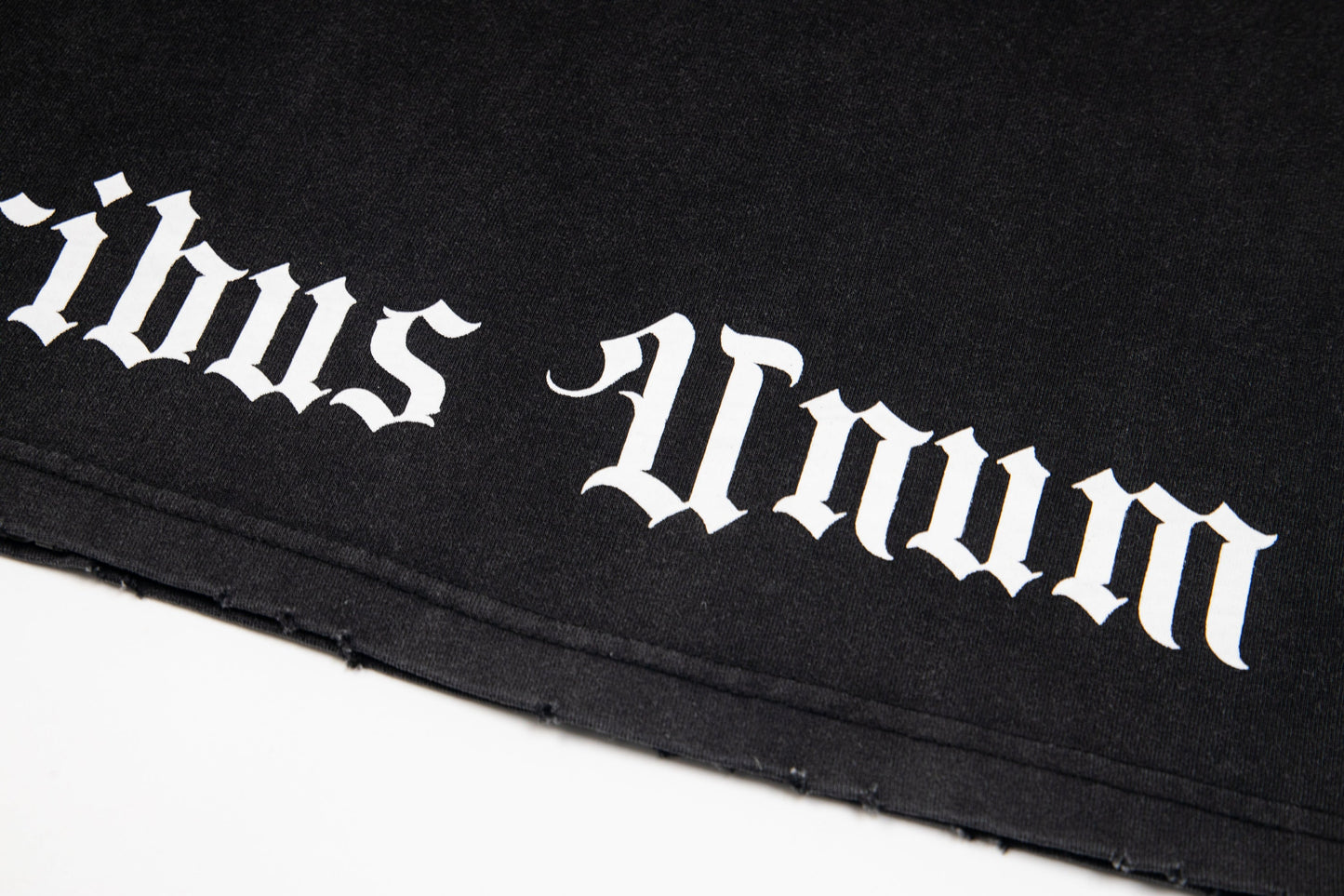 ゴッドスピードTシャツ G06